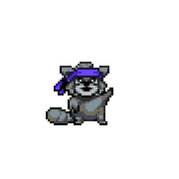 Raccoon